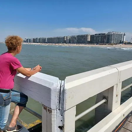 Zeedijk Aan De Pier * 布兰肯贝赫