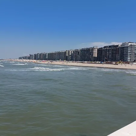 Zeedijk Aan De Pier 布兰肯贝赫